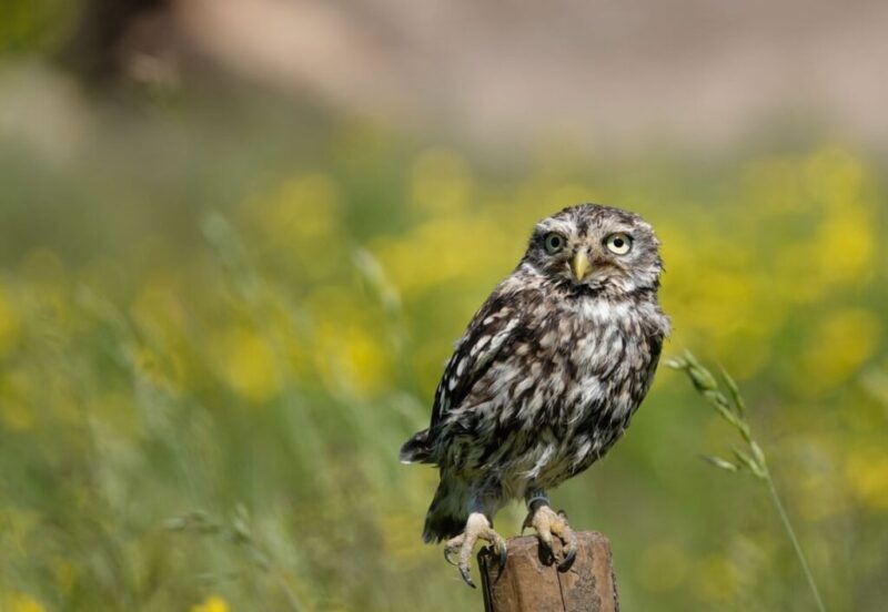 _DSC2289_edited (Kopie)