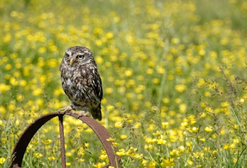 _DSC2339_edited (Kopie)