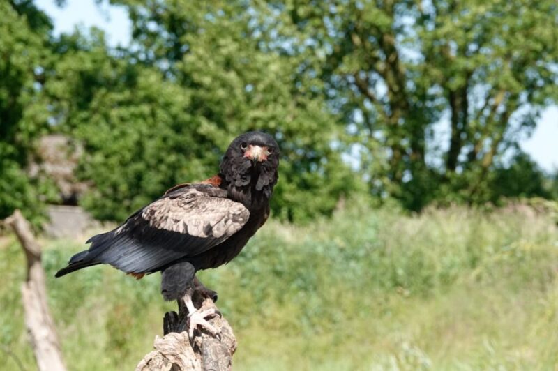 _DSC2410_edited (Kopie)