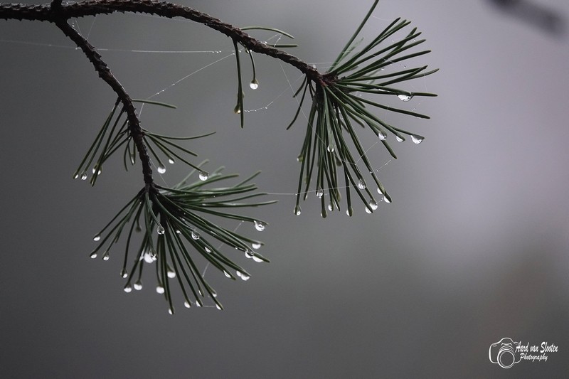 tn_DSC01749